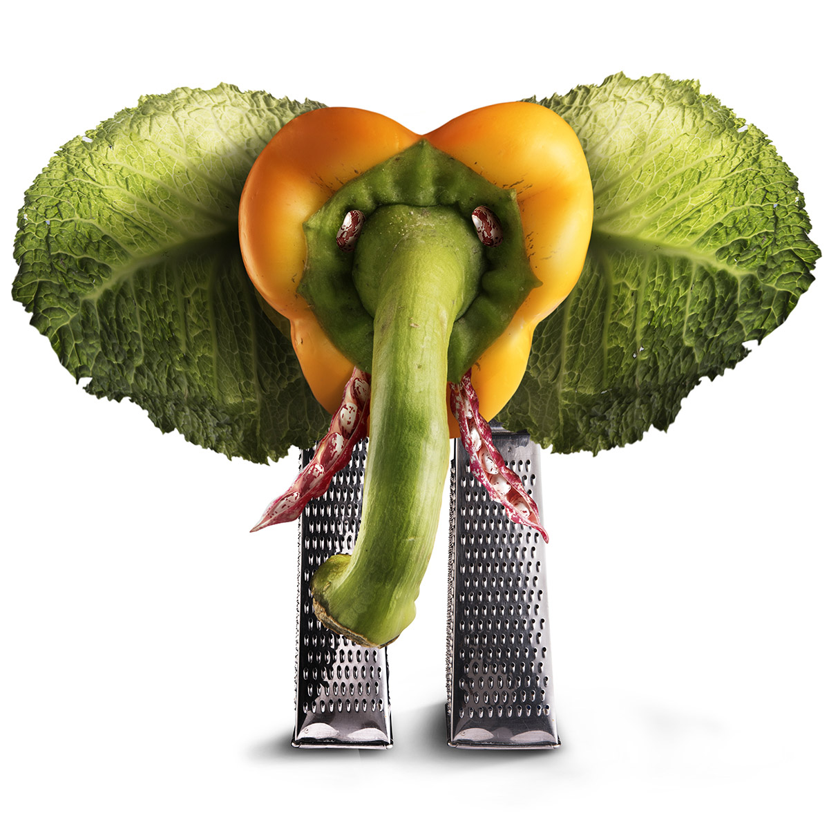 1200x1200, 338 Kb / слон, терка, горох, перец, капуста, фасоль