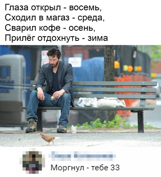 549x604, 115 Kb / среда, осень, зима, моргнул, скамейка, сидит, пиджак, голубь