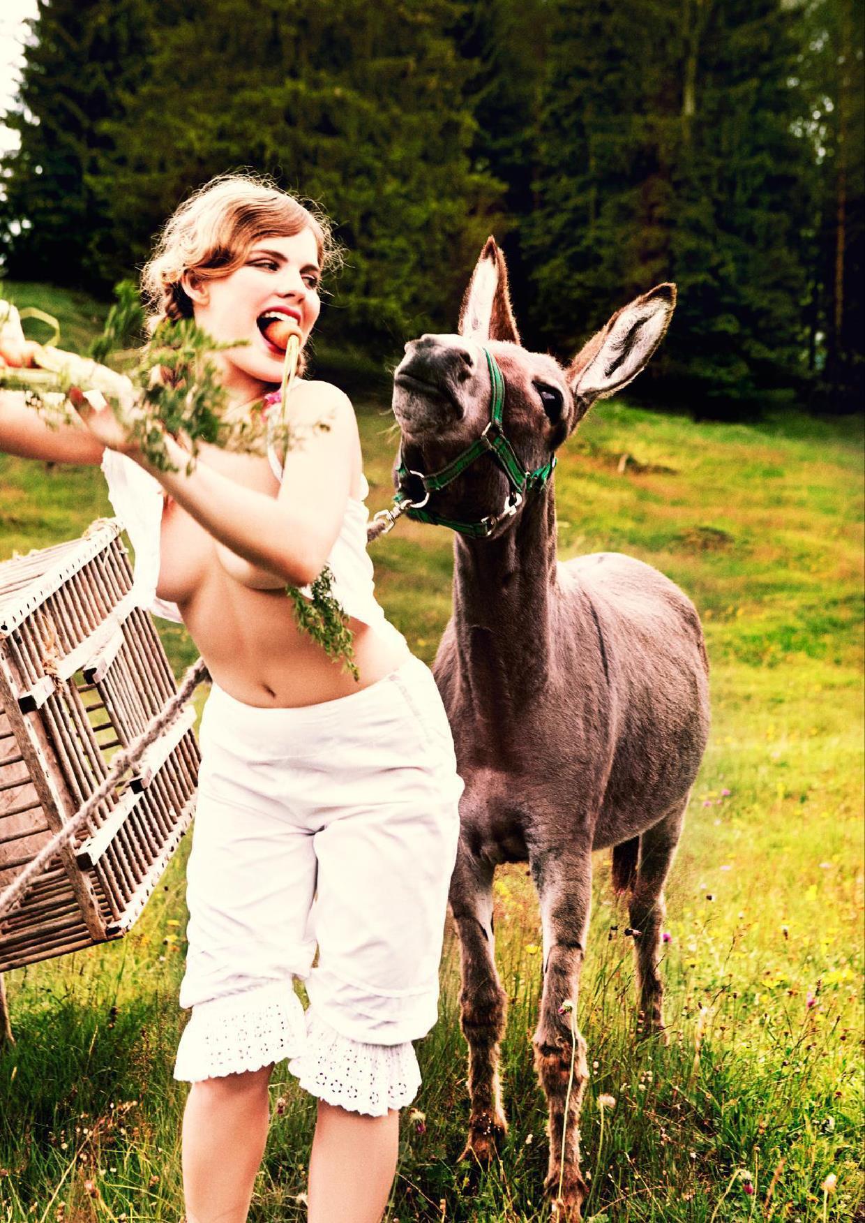 1240x1752, 383 Kb / девка, осёл, морковка