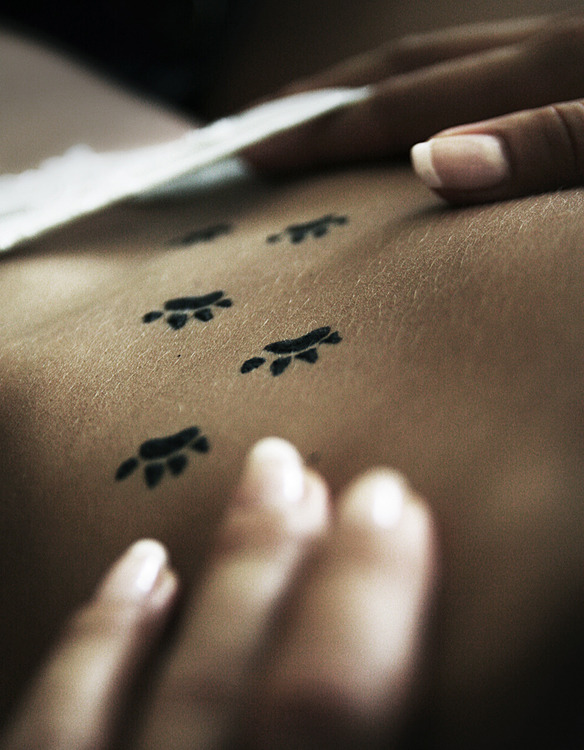 584x750, 128 Kb / девка, живот, следы