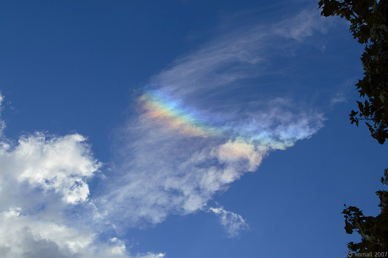 800x533, 70 Kb / радуга