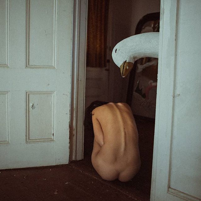 640x640, 51 Kb / дверь, девка, спина, гусяра