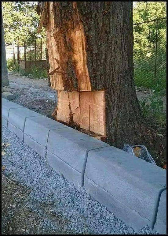 550x771, 96 Kb / бордюр, дерево