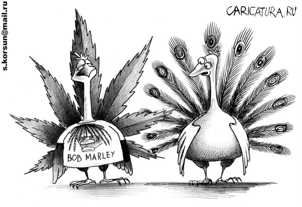 600x411, 66 Kb / павлин