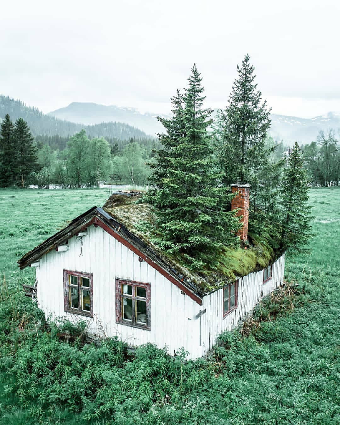 1080x1350, 141 Kb / дом, ёлка, труба, указатель