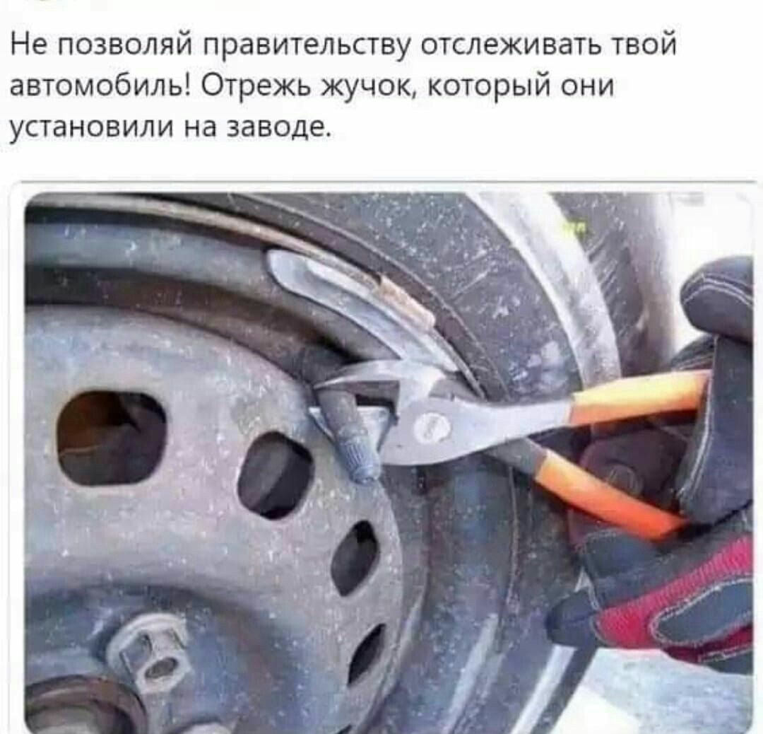 1080x1038, 137 Kb / колесо, кусачки, жучок