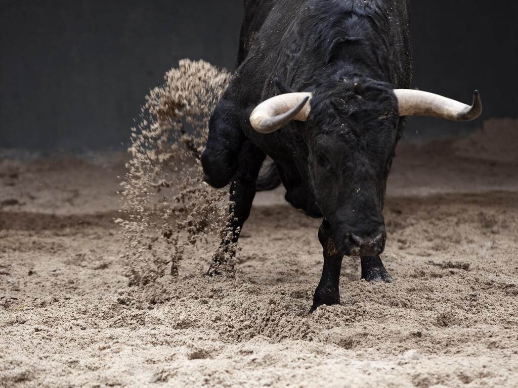 1024x768, 116 Kb / бык, рога