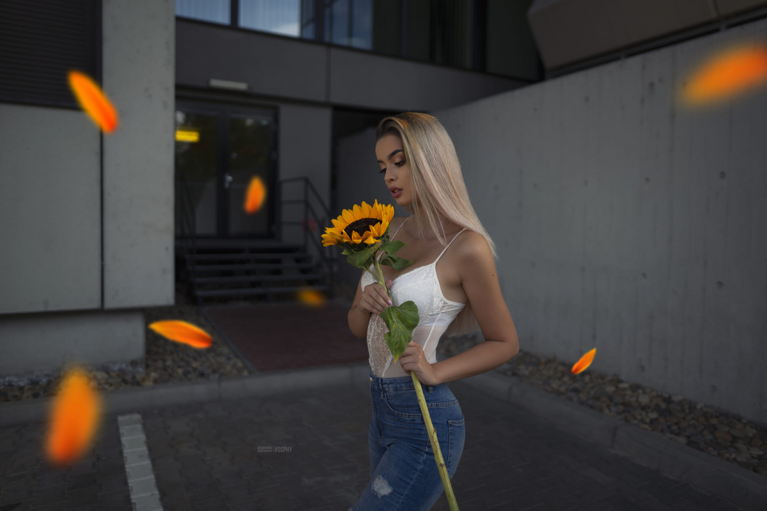 1500x1000, 256 Kb / блондинка, лепестки, подсолнух