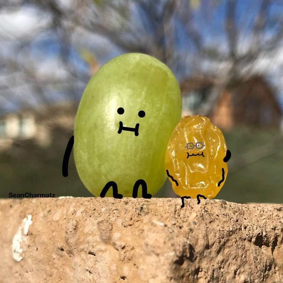 960x960, 78 Kb / Изюм, виноград