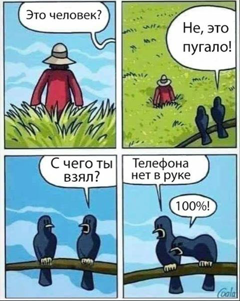 480x601, 411 Kb / пугало, вороны