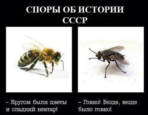 480x374, 22 Kb / ссср, история, политота