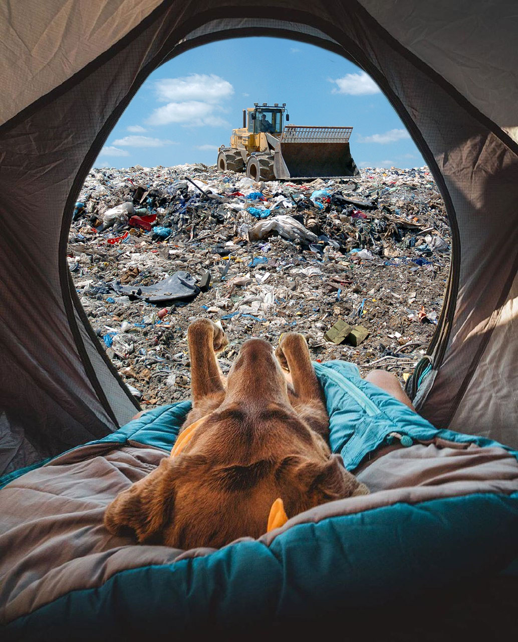 1034x1280, 360 Kb / палатка, собака, бульдозер, фотошоп