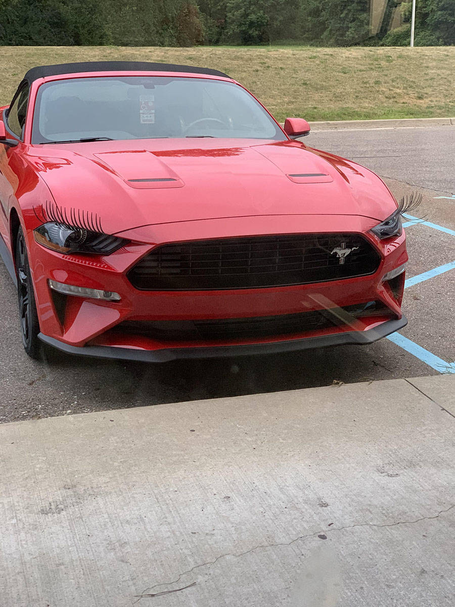 900x1200, 182 Kb / мустанг, шелби, реснички