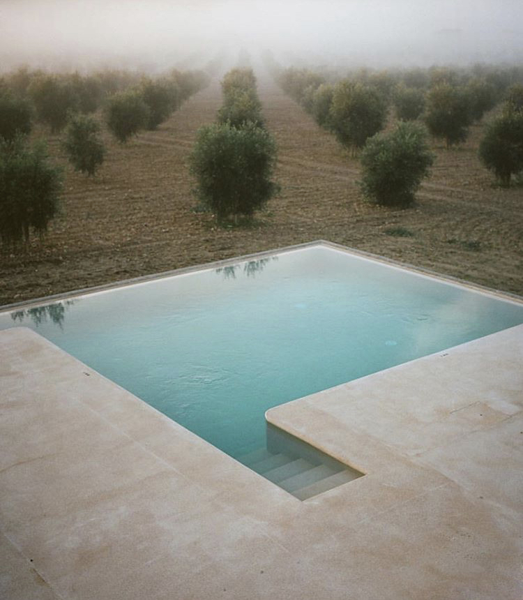 750x860, 401 Kb / бассейн, ступени, деревья, туман