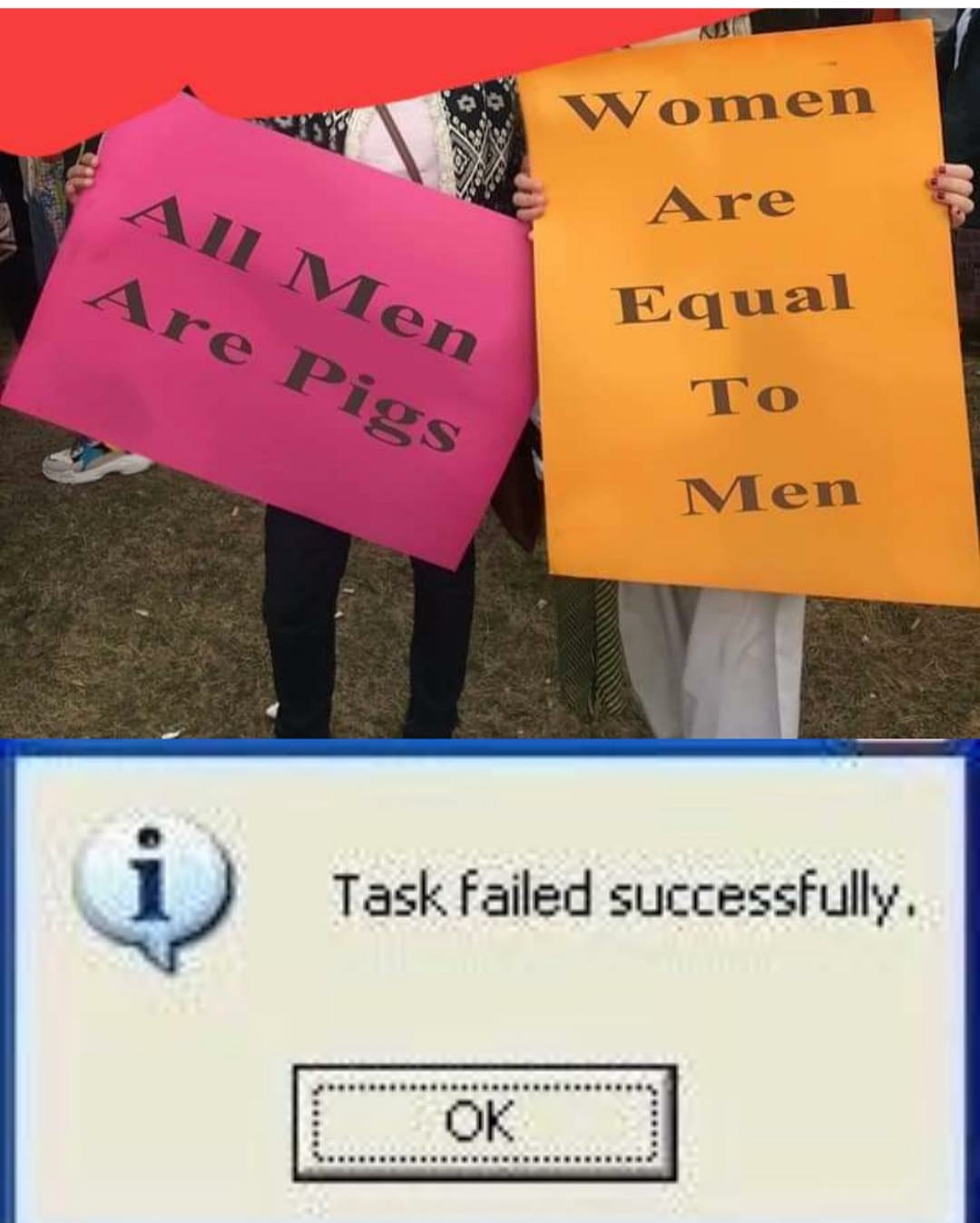 1080x1347, 220 Kb / феминистки, лозунги, свинья