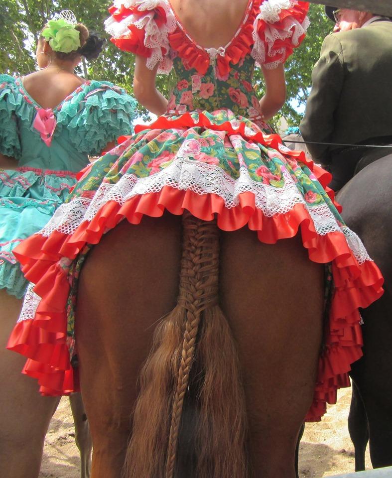 787x960, 122 Kb / хвост, кобыла, коса, попа, круп