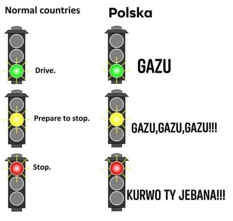 750x712, 31 Kb / польский, светофор