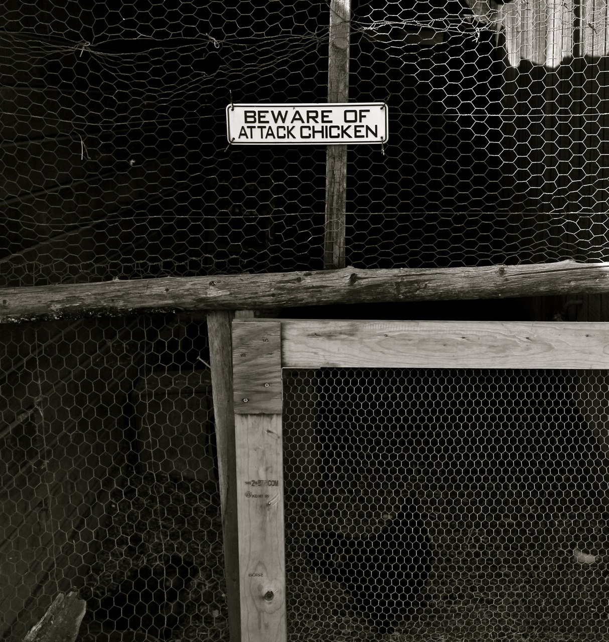 1214x1280, 595 Kb / цыплята, клетка