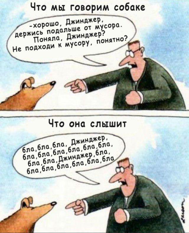 640x788, 85 Kb / рисунок, собака, хозяин, бла бла, кинология