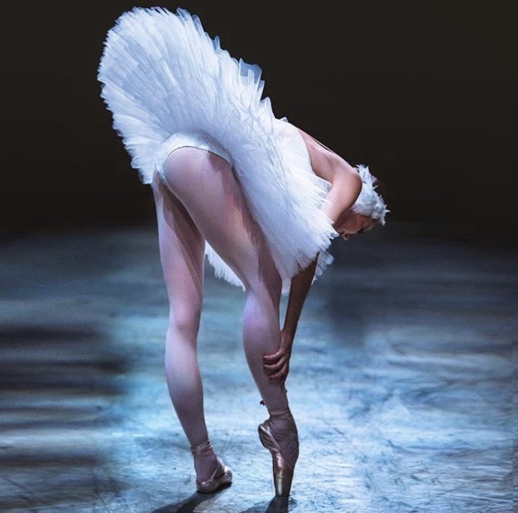 750x742, 127 Kb / балерина, пуанты, пачка, лебедь, нагнулась