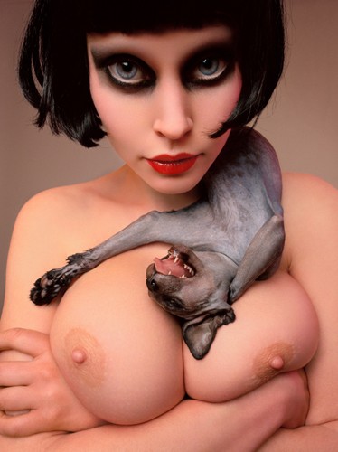 374x500, 35 Kb / кот, сфинкс