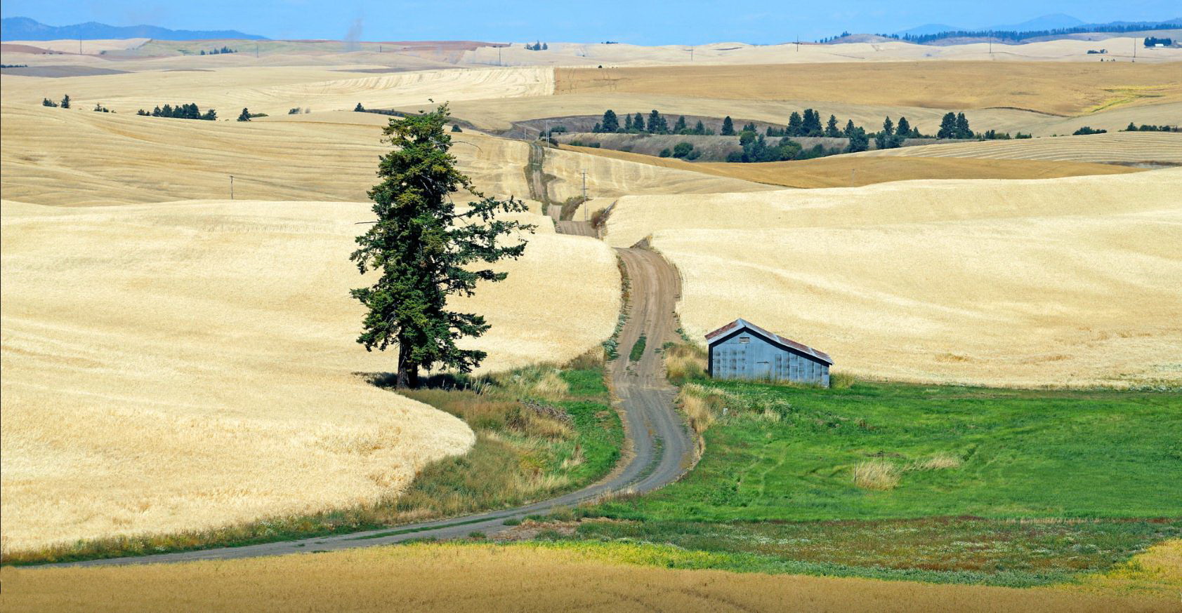 1683x874, 441 Kb / поле, просторы, дорога, сарай, дерево, дали