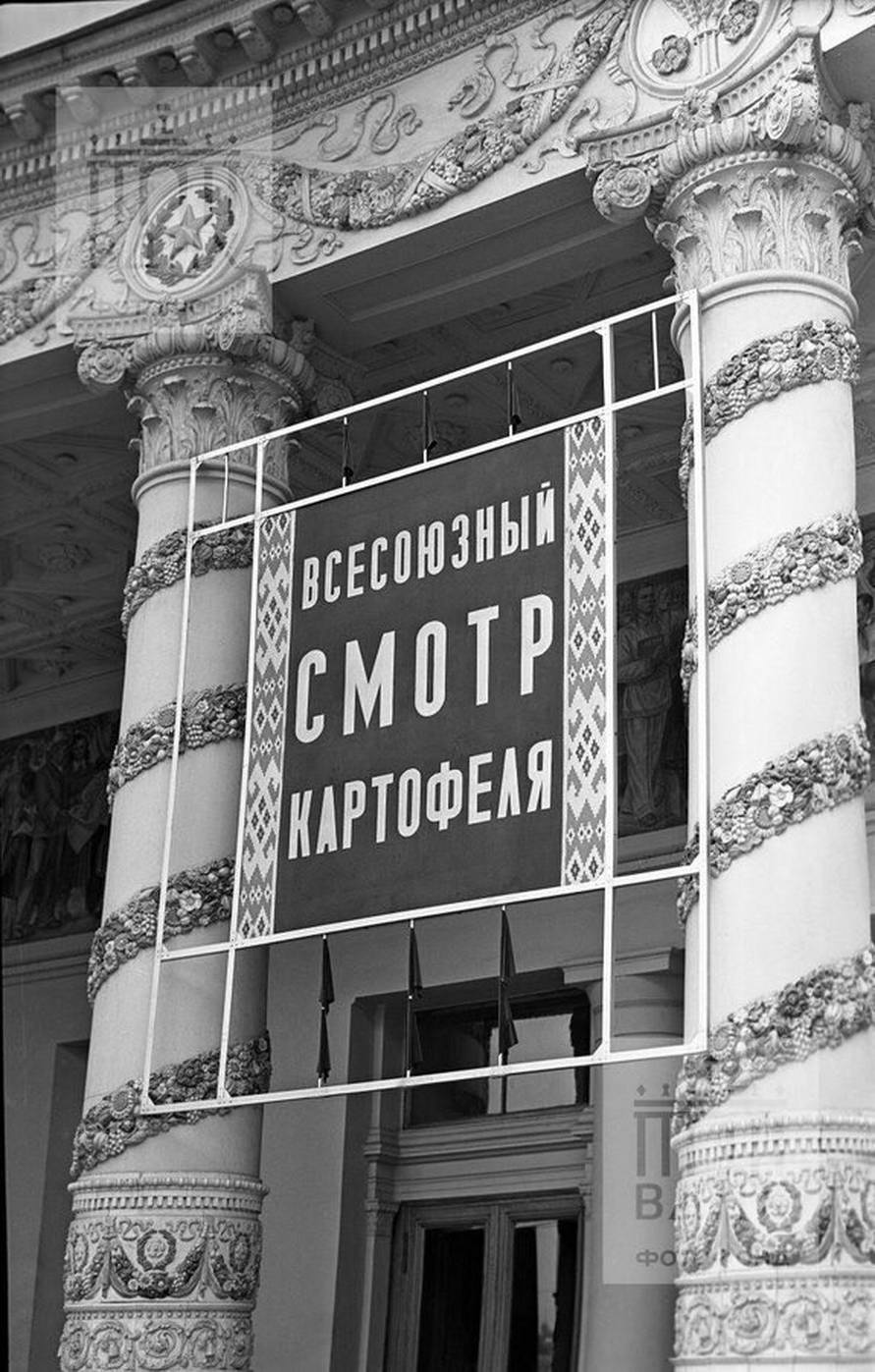 891x1397, 186 Kb / всесоюзный, смотр, картофеля, ч/б