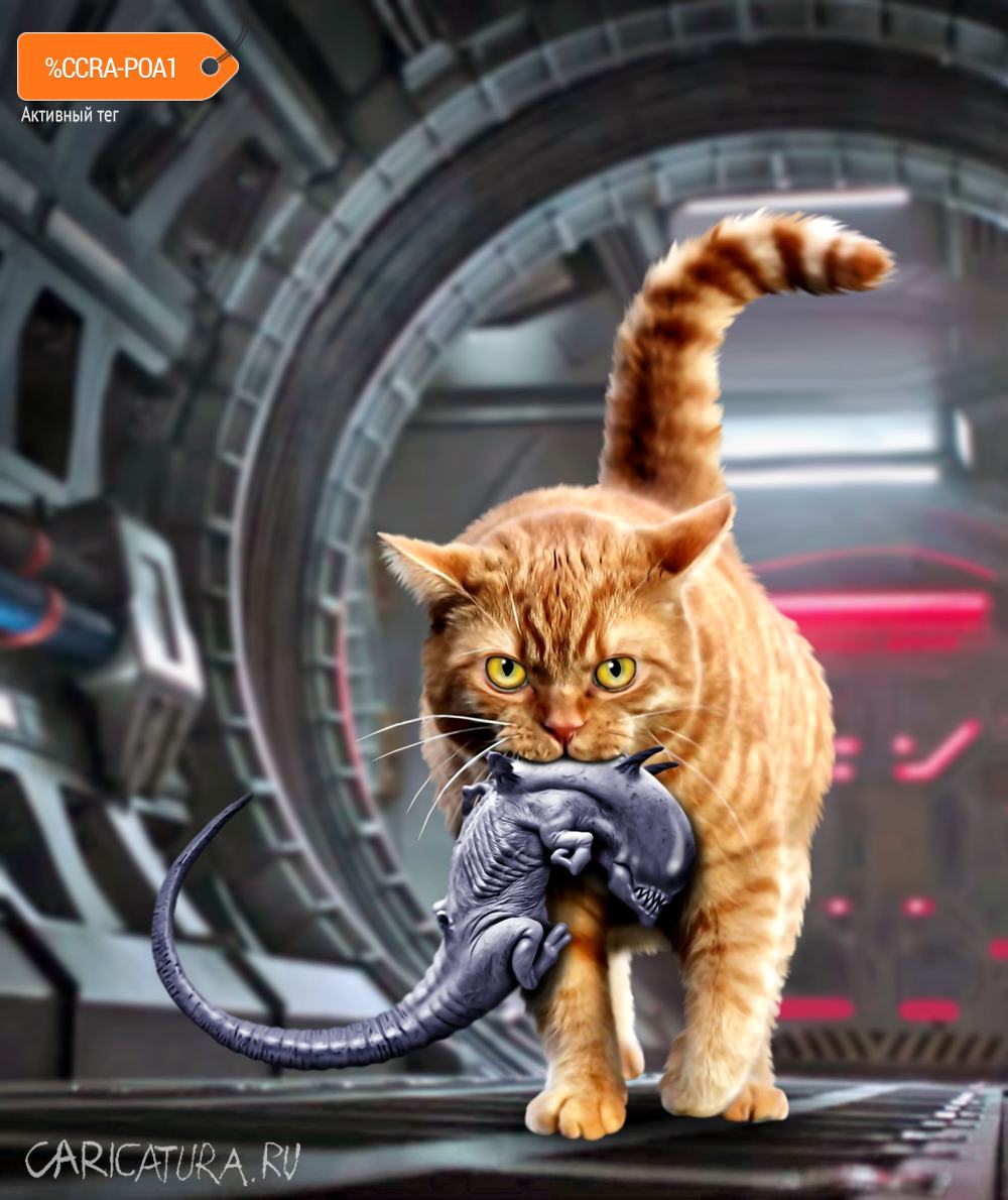 1000x1190, 115 Kb / чужой, кот, рыжий