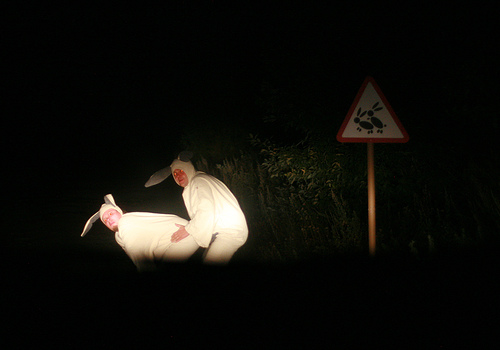 500x350, 50 Kb / зайцы, ночь, знак