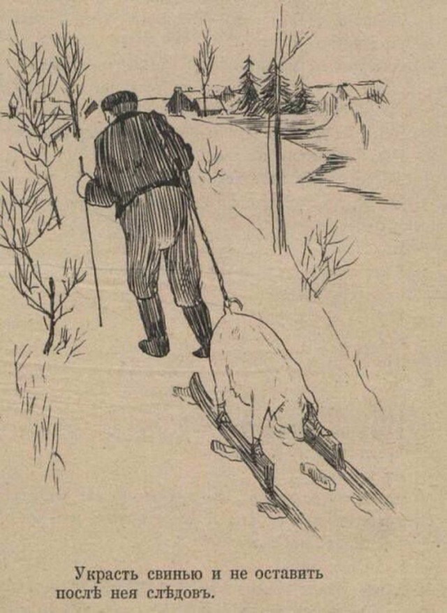 640x878, 119 Kb / свинья, след, зима, полозья, снег