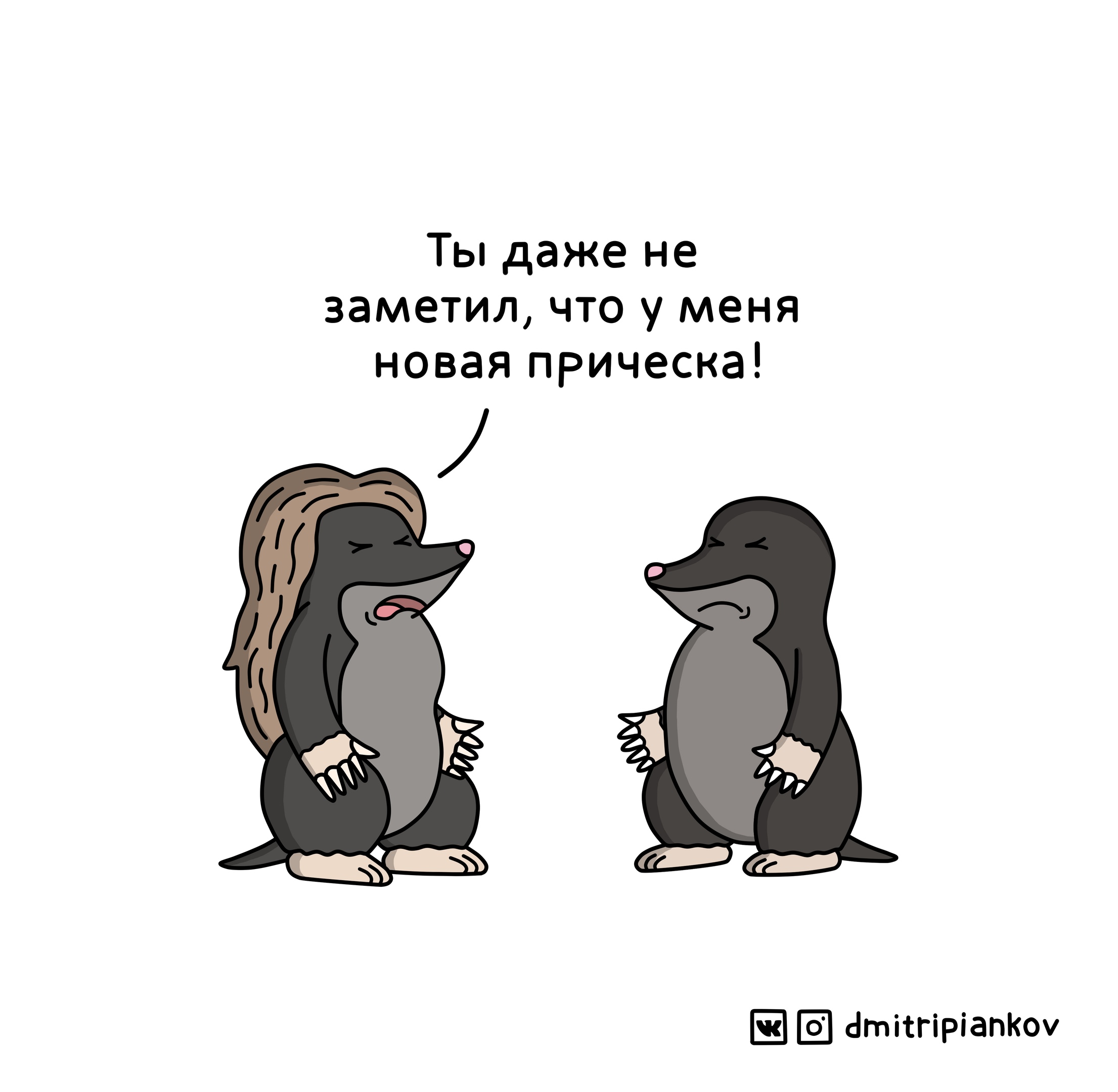 2211x2160, 269 Kb / кроты, слепой, прическа