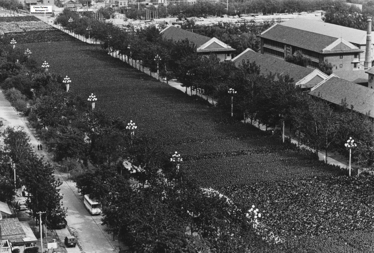 1199x812, 451 Kb / толпа, очередь, ч/б, путин