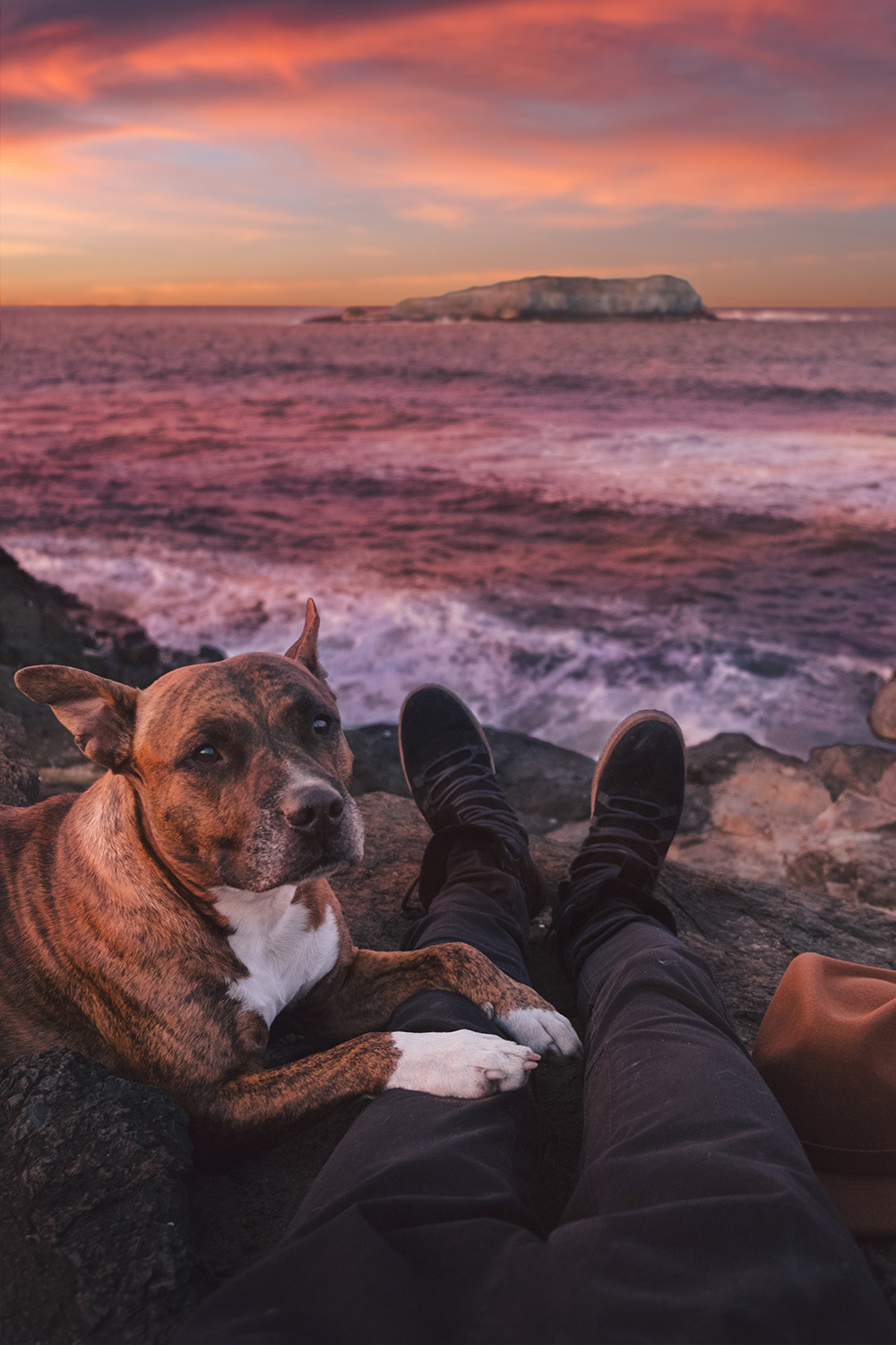 1000x1500, 355 Kb / собака, море, камни, шляпа, ноги, берег