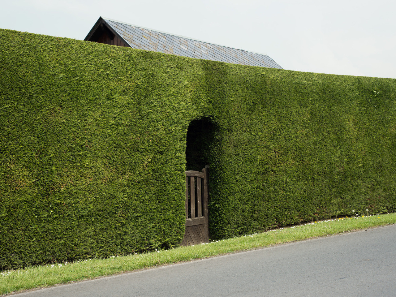 1280x960, 627 Kb / забор, калитка, крыша, живая изгородь