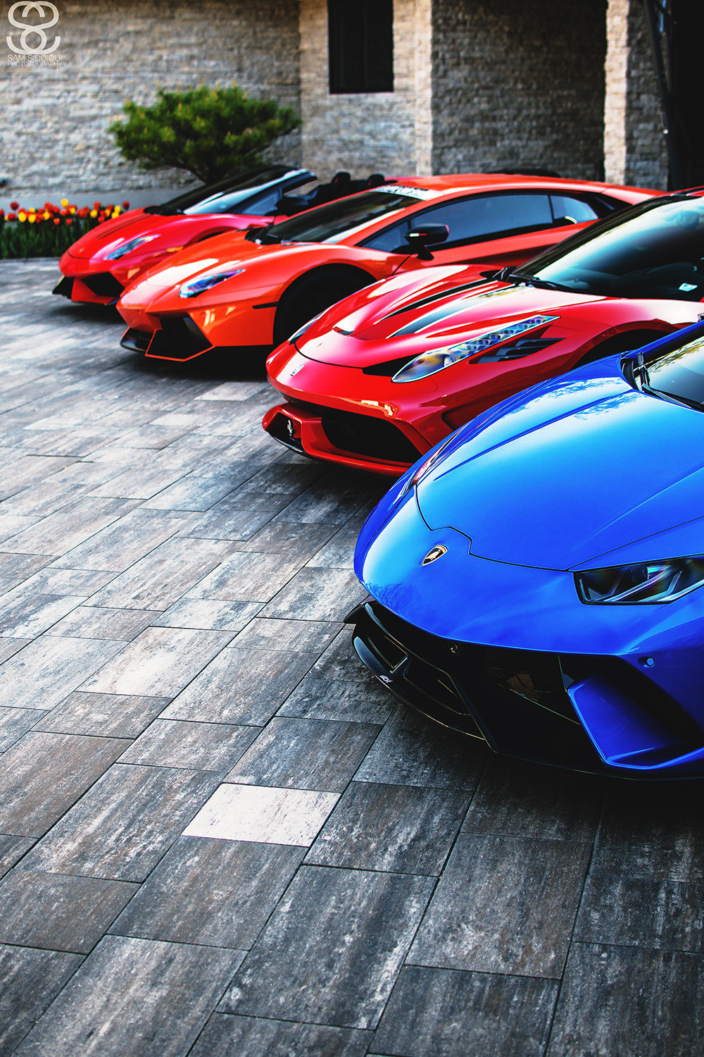 1000x1500, 630 Kb / автомобиль, плитка, стоянка, парковка, ламборгини, цветы, куст