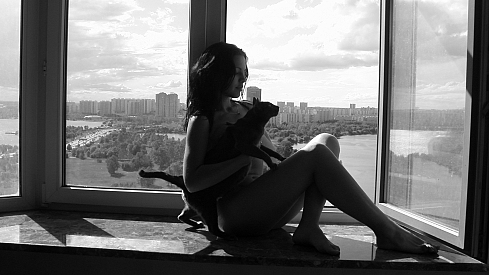 489x275, 84 Kb / окно, силуэт