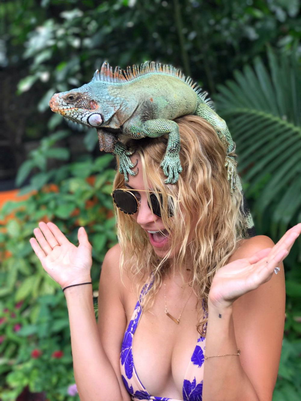 1000x1333, 176 Kb / игуана, очки, зелень