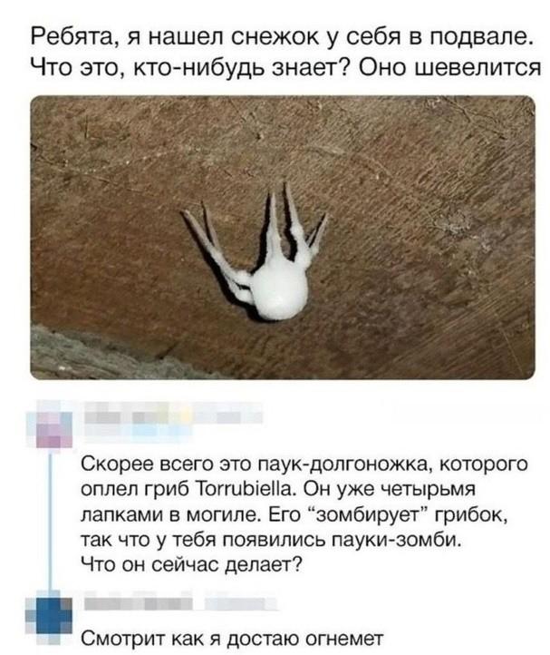 607x722, 65 Kb / подвал, снежок, паук, зомби, грибок, огнемет