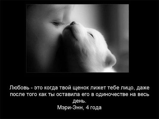 512x384, 19 Kb / ч/б, щенок