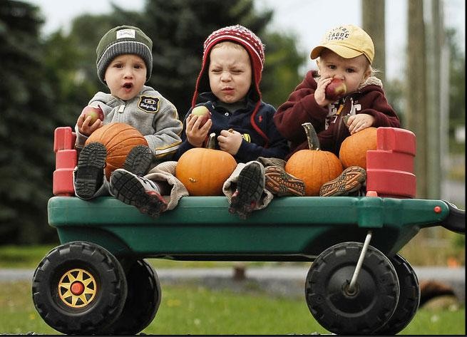 655x473, 66 Kb / дети, тележка