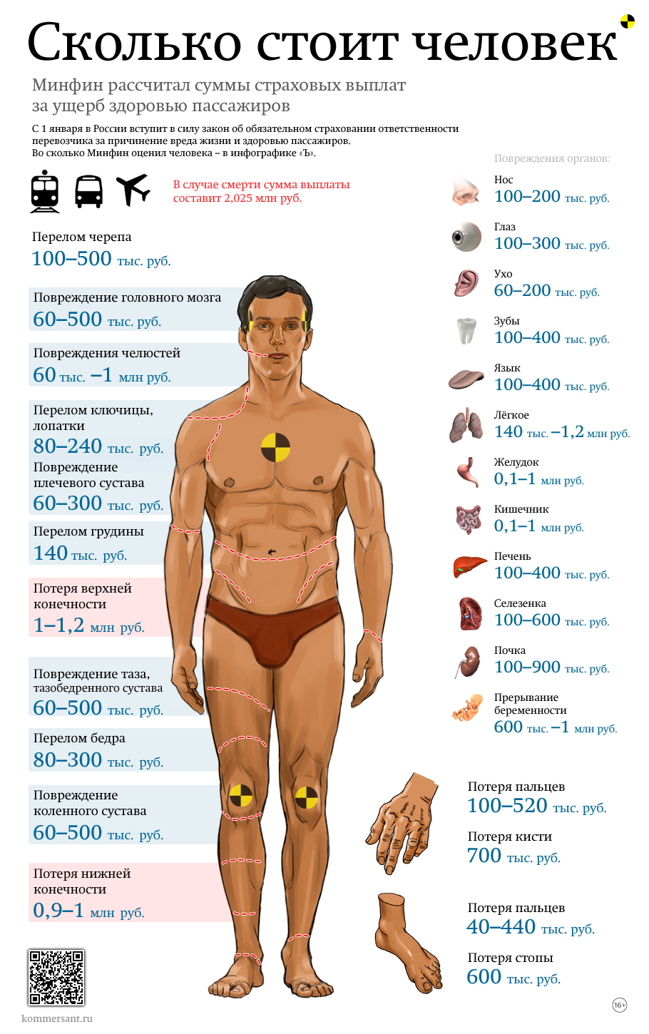 910x1450, 598 Kb / Минфин, цена, стоимость, человек, страховка, здоровье, транспорт, ущерб, пассажир