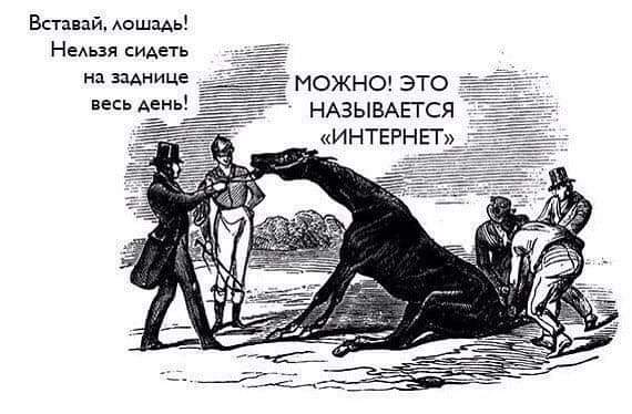 570x374, 33 Kb / вставай, лошадь, сидеть, интернет, задница