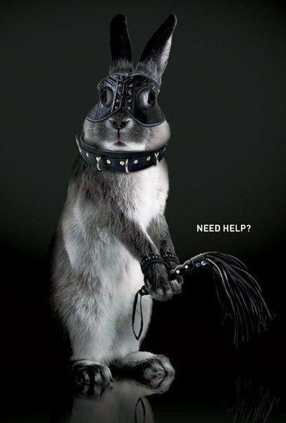 408x604, 29 Kb / ч/б, кролик, маска, плетка