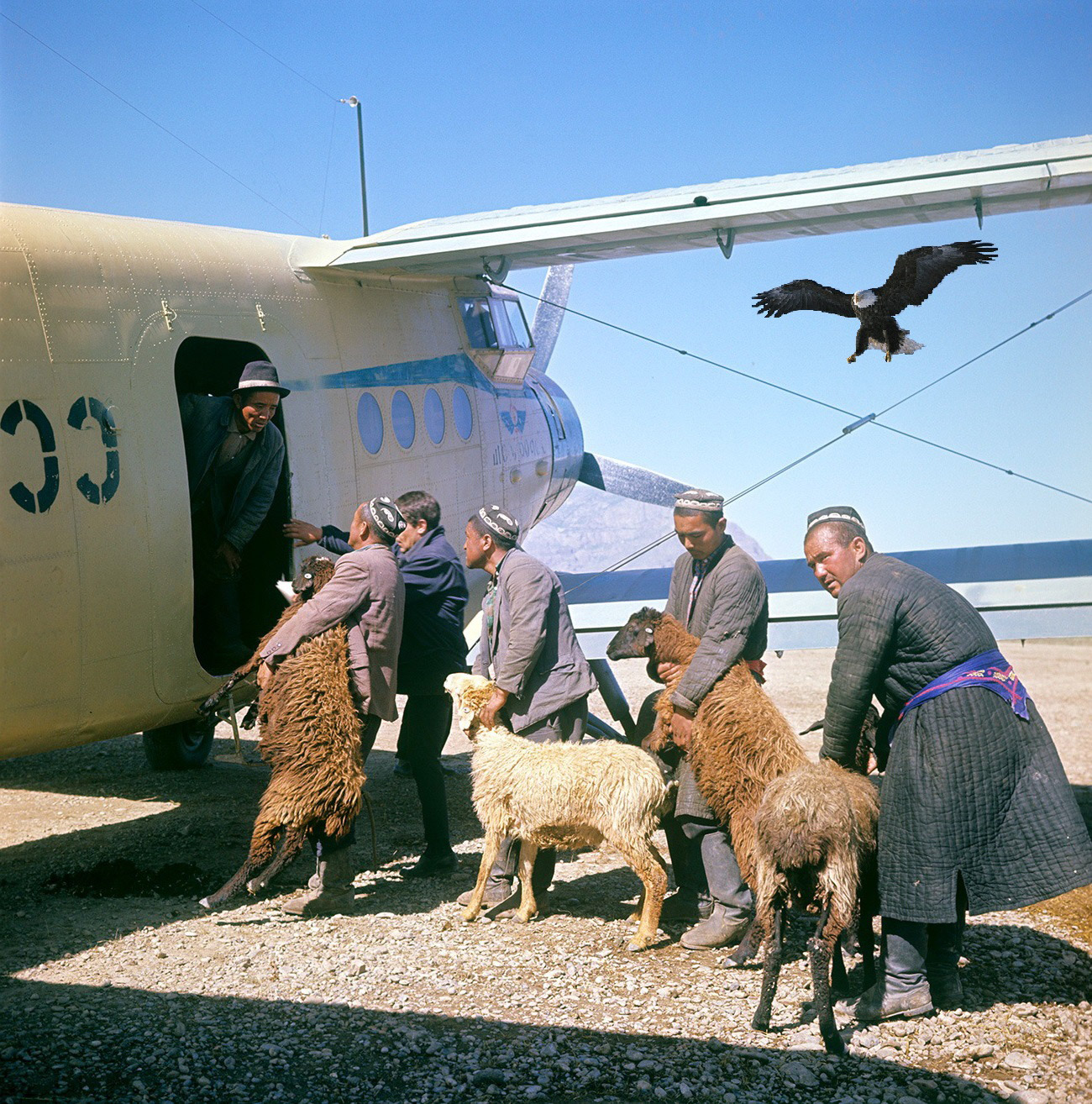 1300x1314, 631 Kb / самолет, баран, чапан, тюбетейка, ещё баран, фотошоп