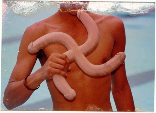 500x363, 32 Kb / чудак, вода, дилдо, свастика