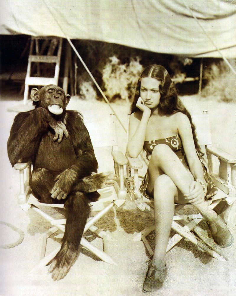 799x1000, 341 Kb / девушка, обезьяна, ч/б