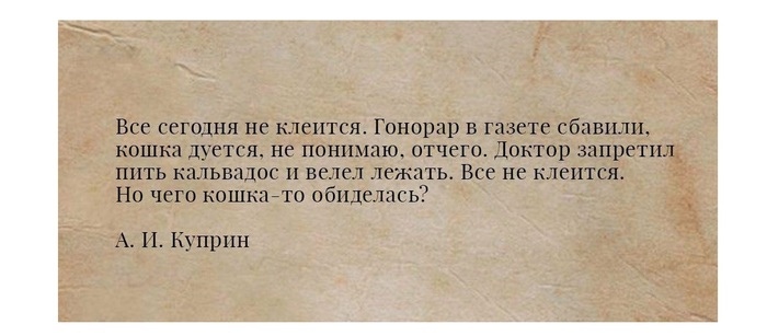 700x307, 70 Kb / Куприн, кошка, не клеится, гонорар, газета, доктор, кальвадос