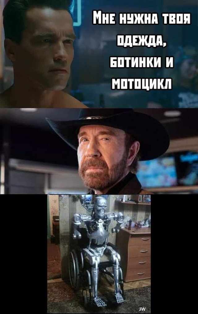 640x1014, 81 Kb / Арнольд Шварценеггер, терминатор, Чак Норрис