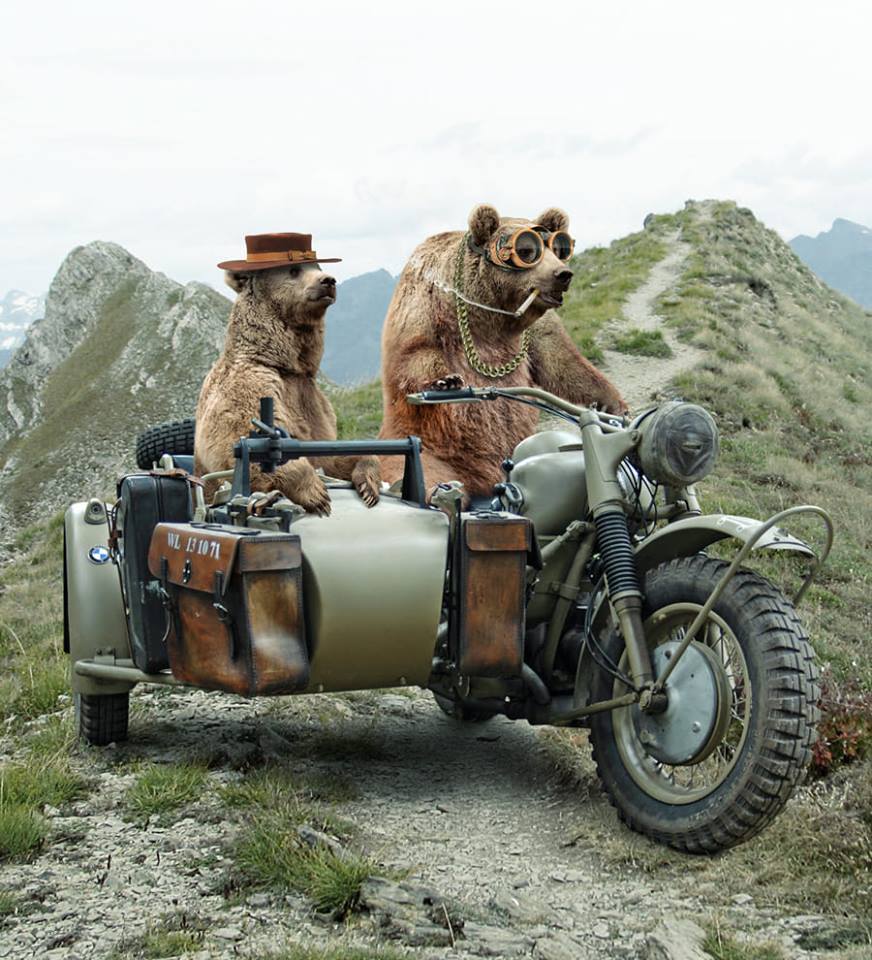 872x960, 132 Kb / мотоцикл, медведь, люлька, шляпа, очки, сигарета, бмв, bmw