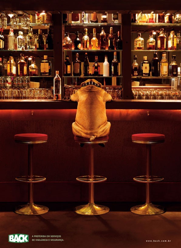 596x813, 112 Kb / бар, собака, сцобака, бульдог